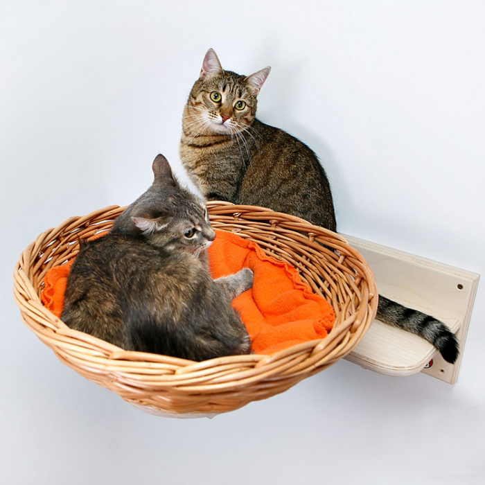 Лежанка для кошек настенная